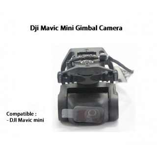 Dji Mavic Mini Gimbal Camera